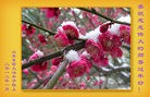 Published on 1/23/2012 ֹ,½󷨵ӹףʦã172 - ִ
