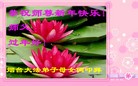 Published on 1/23/2012 ֹ,½󷨵ӹףʦã172 - ִ
