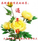 Published on 1/23/2012 ֹ,½󷨵ӹףʦã172 - ִ
