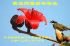 Published on 1/23/2012 ֹ,½ҵ󷨵ӹףʦ֣214 - ִ
