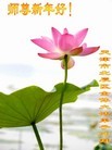 Published on 1/22/2012 ֹ,½󷨵ӹףʦã156 - ִ
