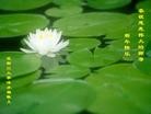 Published on 1/23/2012 ֹ,½󷨵ӹףʦã183 - ִ
