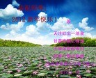 Published on 1/23/2012 ֹ,½󷨵ӹףʦã130 - ִ
