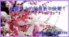 Published on 1/22/2012 ֹ,½󷨵ӹףʦã156 - ִ
