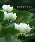 Published on 1/23/2012 ֹ,½󷨵ӹףʦã162 - ִ
