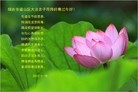 Published on 1/23/2012 ֹ,½󷨵ӹףʦã141 - ִ
