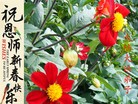 Published on 1/23/2012 ֹ,½󷨵ӹףʦã95 - ִ
