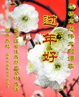Published on 1/23/2012 ֹ,½󷨵ӹףʦã183 - ִ
