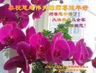 Published on 1/23/2012 ֹ,½󷨵ӹףʦã183 - ִ
