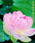 Published on 1/23/2012 ֹ,½󷨵ӹףʦã141 - ִ
