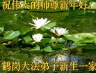 Published on 1/23/2012 ֹ,½󷨵ӹףʦã183 - ִ
