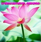Published on 1/23/2012 ֹ,½󷨵ӹףʦã193 - ִ
