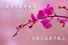 Published on 1/23/2012 ֹ,½󷨵ӹףʦã193 - ִ
