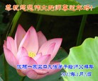 Published on 1/23/2012 ֹ,½󷨵ӹףʦã193 - ִ
