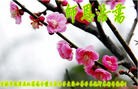 Published on 1/24/2012 ֹ,½󷨵ӹףʦã150 - ִ
