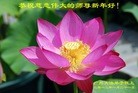 Published on 1/24/2012 ֹ,½󷨵ӹףʦã150 - ִ
