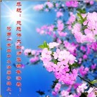 Published on 1/23/2012 ֹ,½󷨵ӹףʦã183 - ִ
