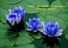 Published on 1/23/2012 ֹ,½󷨵ӹףʦã183 - ִ
