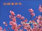Published on 1/23/2012 ֹ,½󷨵ӹףʦã90 - ִ

