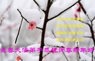 Published on 1/23/2012 ֹ,½󷨵ӹףʦã130 - ִ
