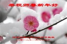 Published on 1/23/2012 ֹ,½󷨵ӹףʦã130 - ִ
