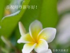 Published on 1/23/2012 ֹ,½󷨵ӹףʦã130 - ִ
