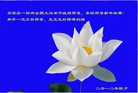Published on 1/24/2012 ֹ,½󷨵ӹףʦã192 - ִ
