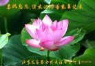 Published on 1/24/2012 ֹ,½󷨵ӹףʦã192 - ִ
