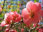 Published on 1/24/2012 ֹ,½󷨵ӹףʦã192 - ִ
