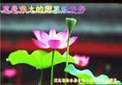 Published on 1/24/2012 ֹ,½󷨵ӹףʦã192 - ִ
