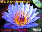 Published on 1/24/2012 ֹ,½󷨵ӹףʦã192 - ִ
