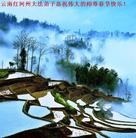 Published on 1/23/2012 ֹ,½󷨵ӹףʦã193 - ִ
