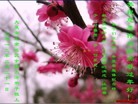 Published on 1/23/2012 ֹ,½󷨵ӹףʦã193 - ִ
