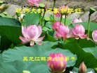 Published on 1/23/2012 ֹ,½󷨵ӹףʦã193 - ִ
