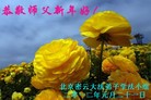 Published on 1/24/2012 ֹ,½󷨵ӹףʦã150 - ִ
