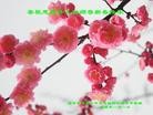 Published on 1/24/2012 ֹ,½󷨵ӹףʦã150 - ִ
