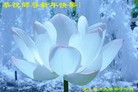 Published on 1/24/2012 ֹ,½󷨵ӹףʦã132 - ִ
