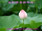 Published on 1/24/2012 ֹ,½󷨵ӹףʦã132 - ִ

