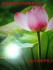 Published on 1/24/2012 ֹ,½󷨵ӹףʦã132 - ִ
