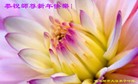 Published on 1/24/2012 ֹ,½󷨵ӹףʦã132 - ִ
