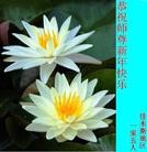 Published on 1/23/2012 ֹ,½󷨵ӹףʦã130 - ִ

