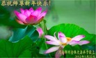 Published on 1/23/2012 ֹ,½󷨵ӹףʦã130 - ִ
