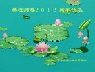 Published on 1/24/2012 ֹ,½󷨵ӹףʦã114 - ִ
