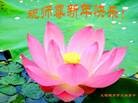 Published on 1/24/2012 ֹ,½󷨵ӹףʦã114 - ִ
