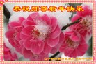 Published on 1/24/2012 ֹ,½󷨵ӹףʦã114 - ִ
