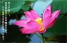 Published on 1/24/2012 ֹ,½󷨵ӹףʦã192 - ִ
