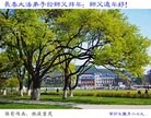 Published on 1/24/2012 ֹ,½󷨵ӹףʦã192 - ִ
