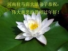 Published on 1/24/2012 ֹ,½󷨵ӹףʦã192 - ִ
