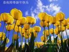 Published on 1/24/2012 ֹ,½󷨵ӹףʦã192 - ִ
