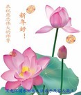 Published on 1/24/2012 ֹ,½󷨵ӹףʦã192 - ִ

